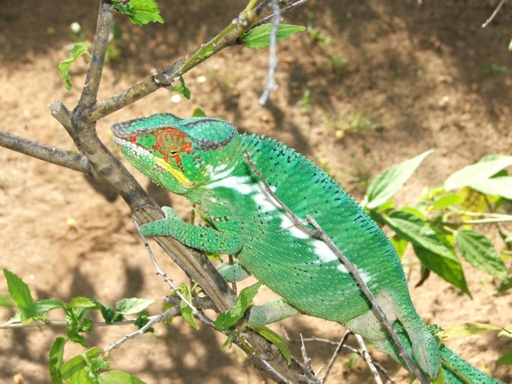 Nosy b, piccola isola del Madagascar